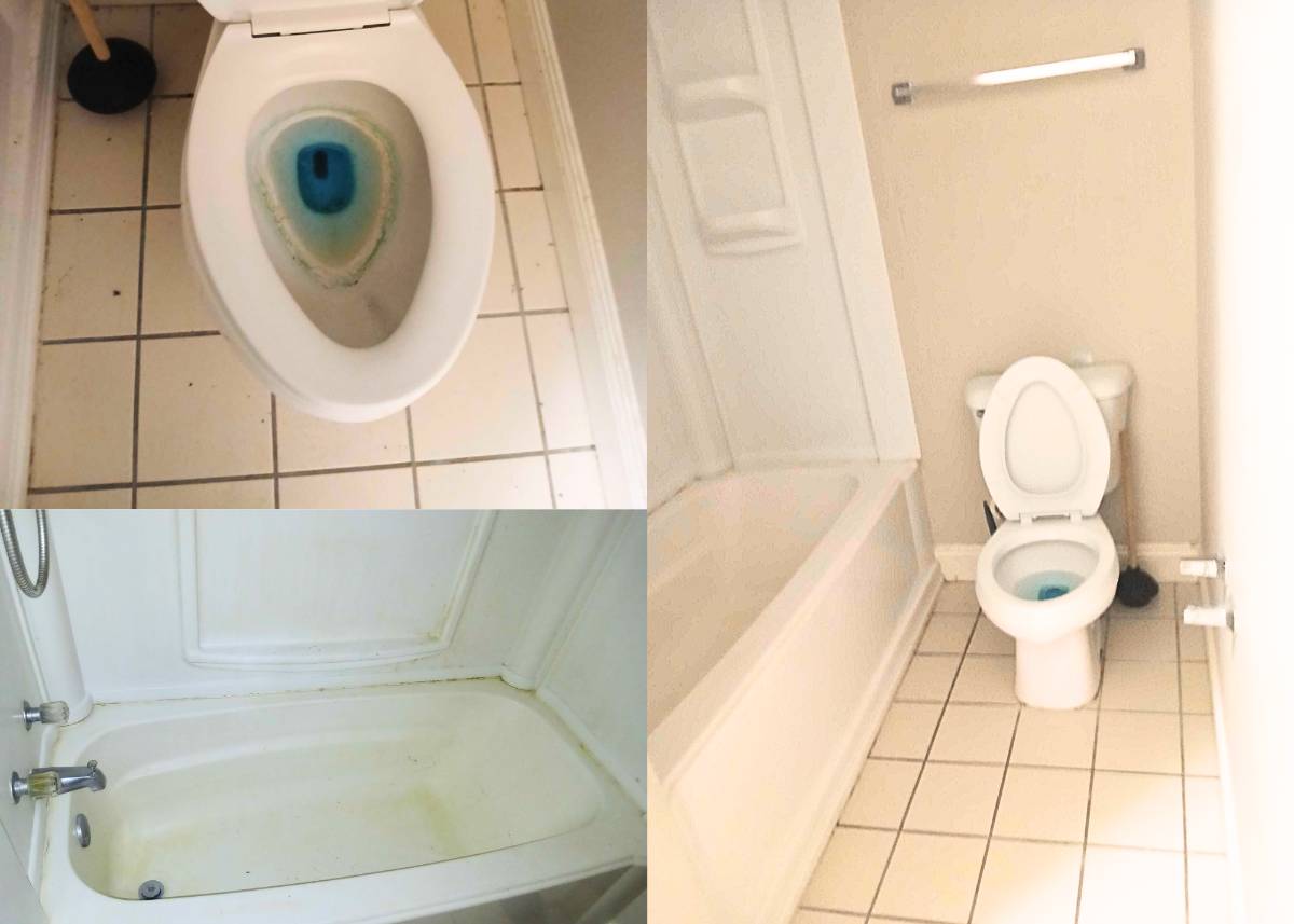 untitled-design-21-1